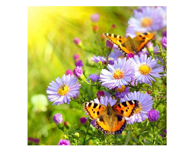 Landscape Theme Diamond Painting