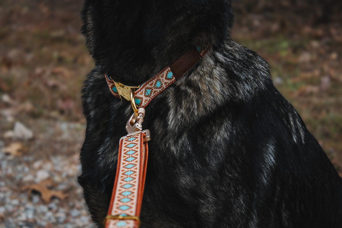 Southwest Spirit Leash