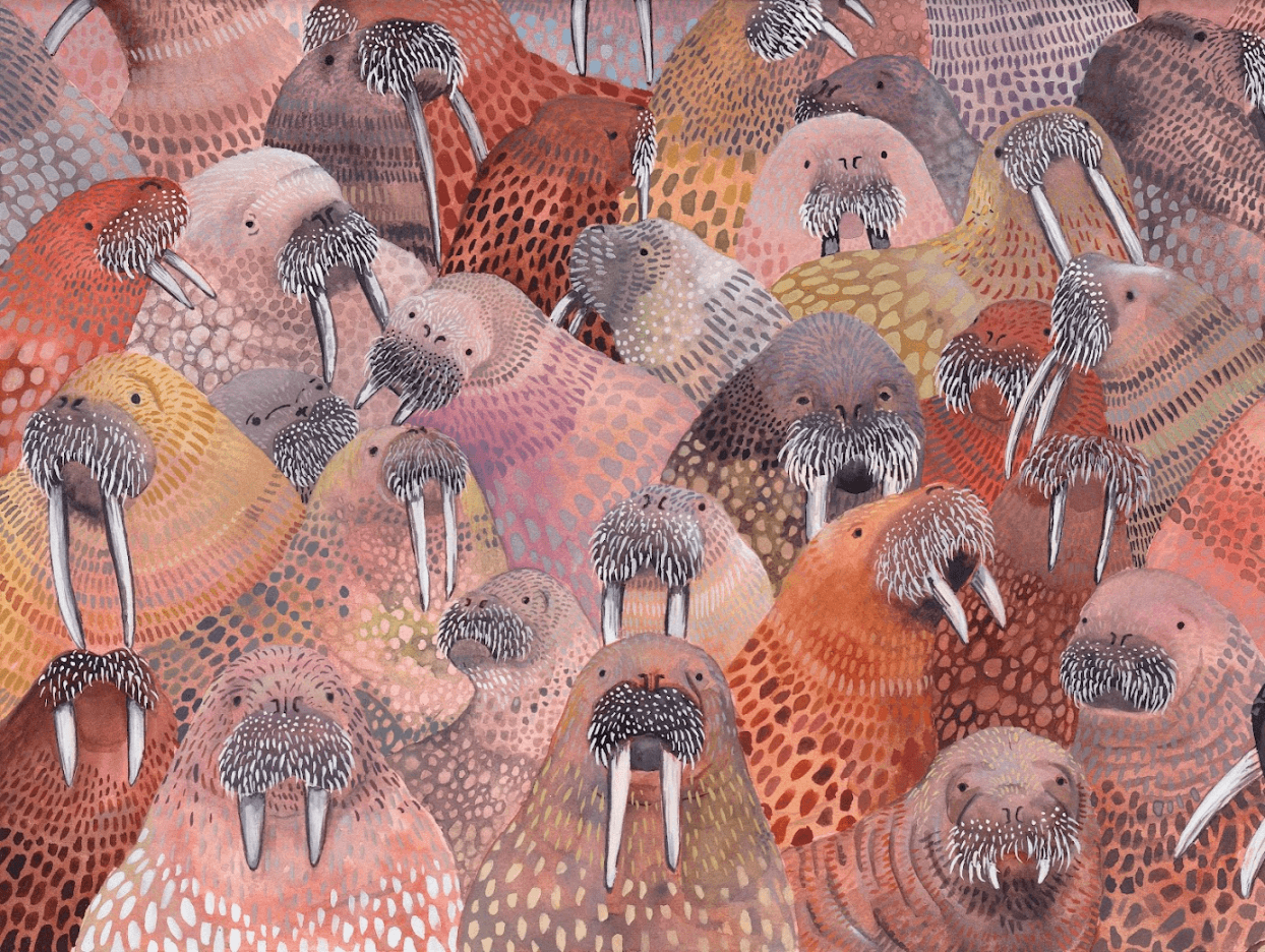 Walrus Colony, Emma Lopes