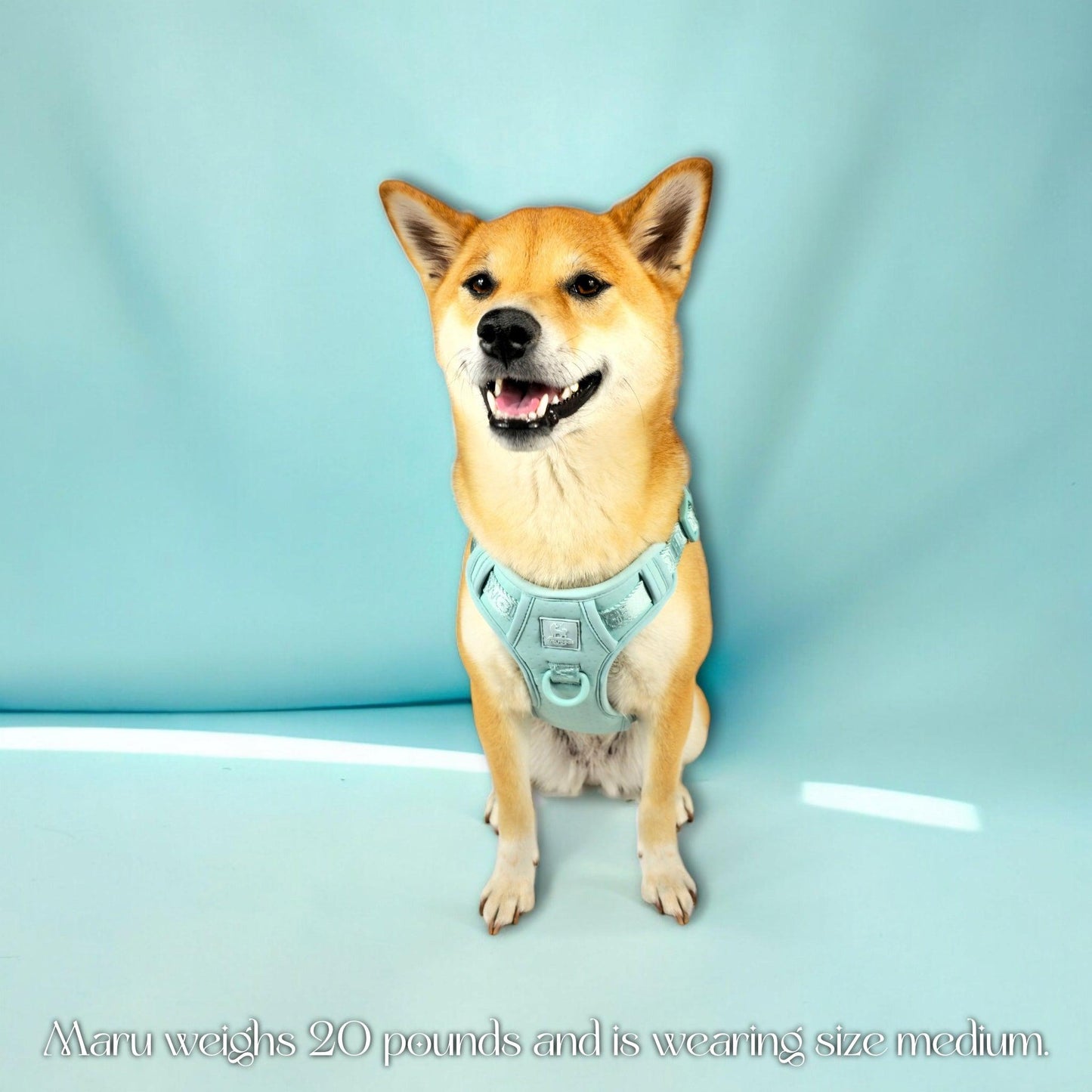 Wolfdoge Signature Harness